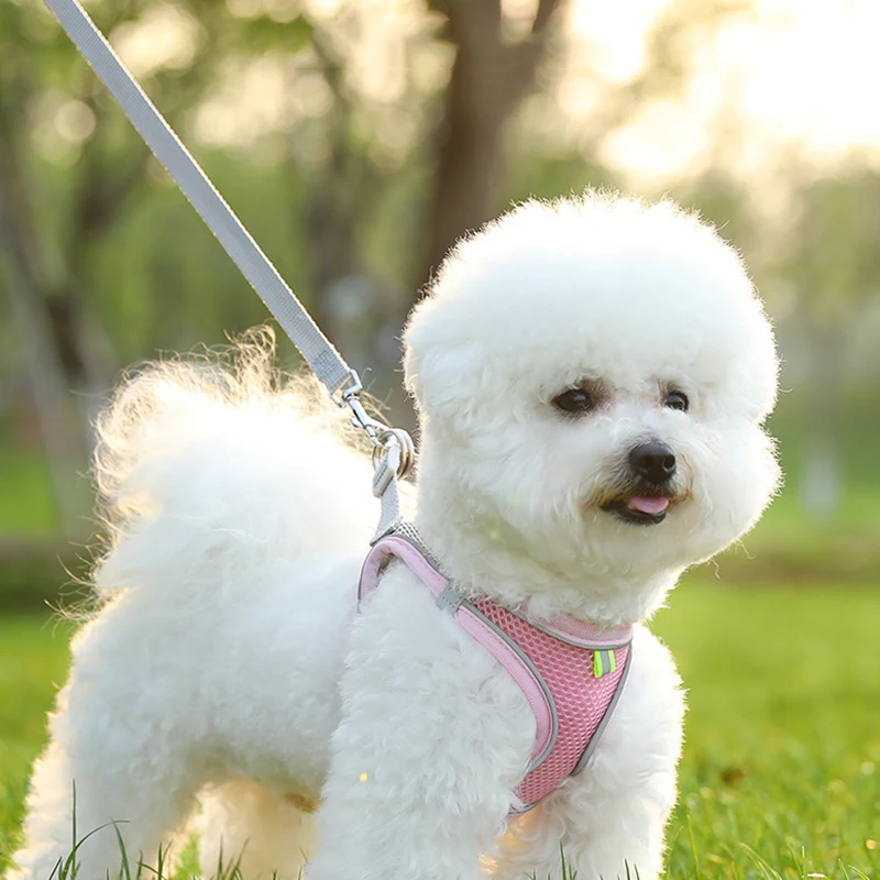 Cat Dog Harness Vest Chest Rope Set Reflective Breathable Adjustable Pet Harness for Small Medium Dogs Outdoor Walking - view 3