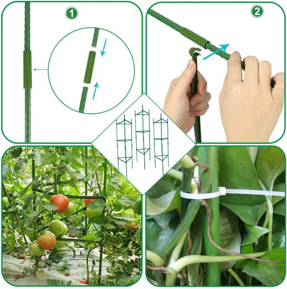 Tomaten käfig, bis zu 51 Zoll Pflanzen pfähle Gemüse gitter für Garten kletter pflanzen Gemüse blumen – Detail 5