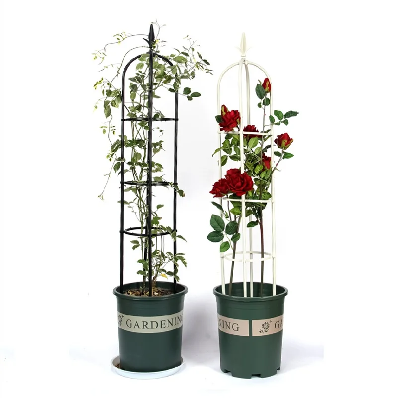 

Hot Sale Top Quality Garden Arch Lattice Plant Cage Clematis Rose Metal Garden Trellis Supports for Climbing Plants