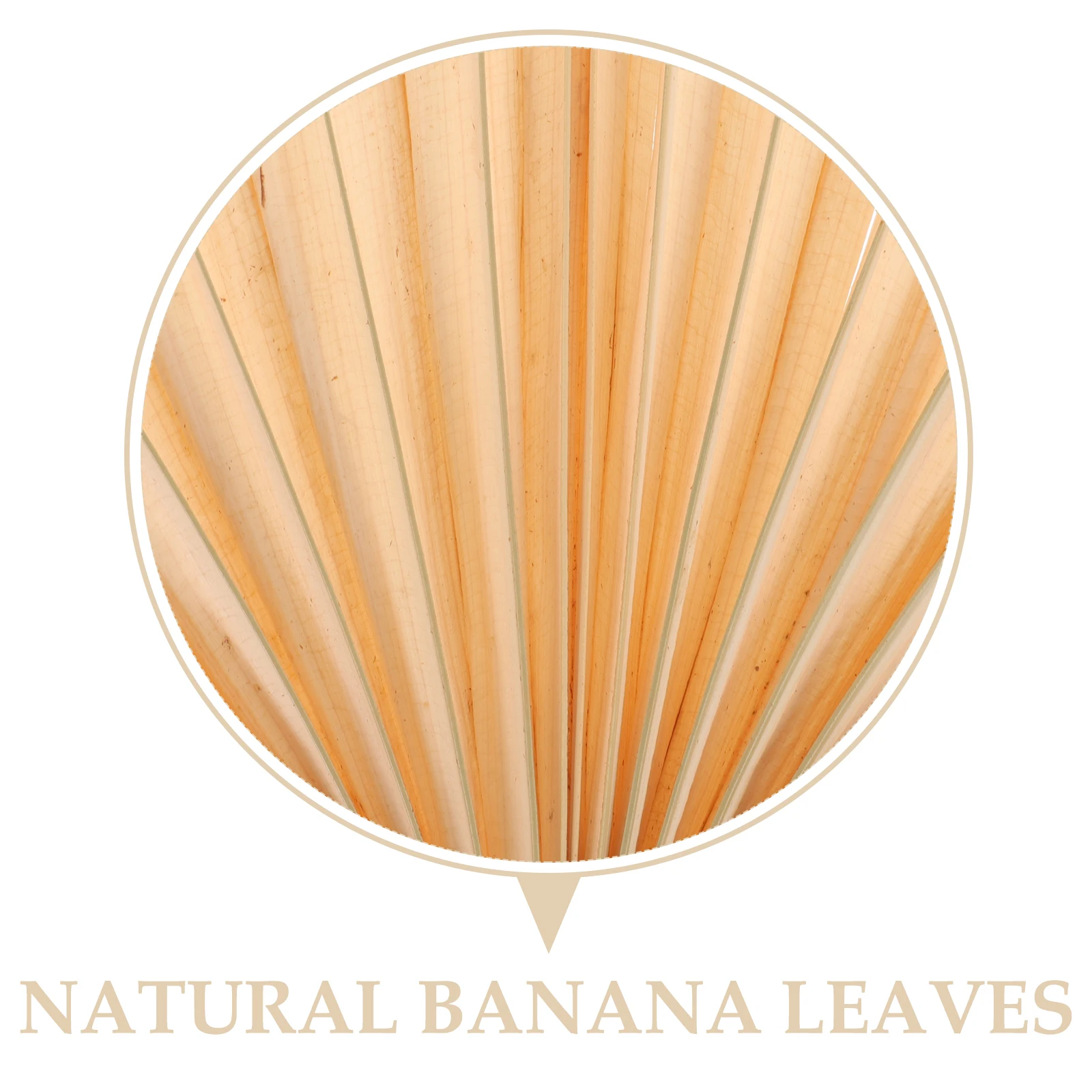 Malerei Fan Hand Handheld Manuelle Fans Hochzeit Handgemachte Bambus Cordless