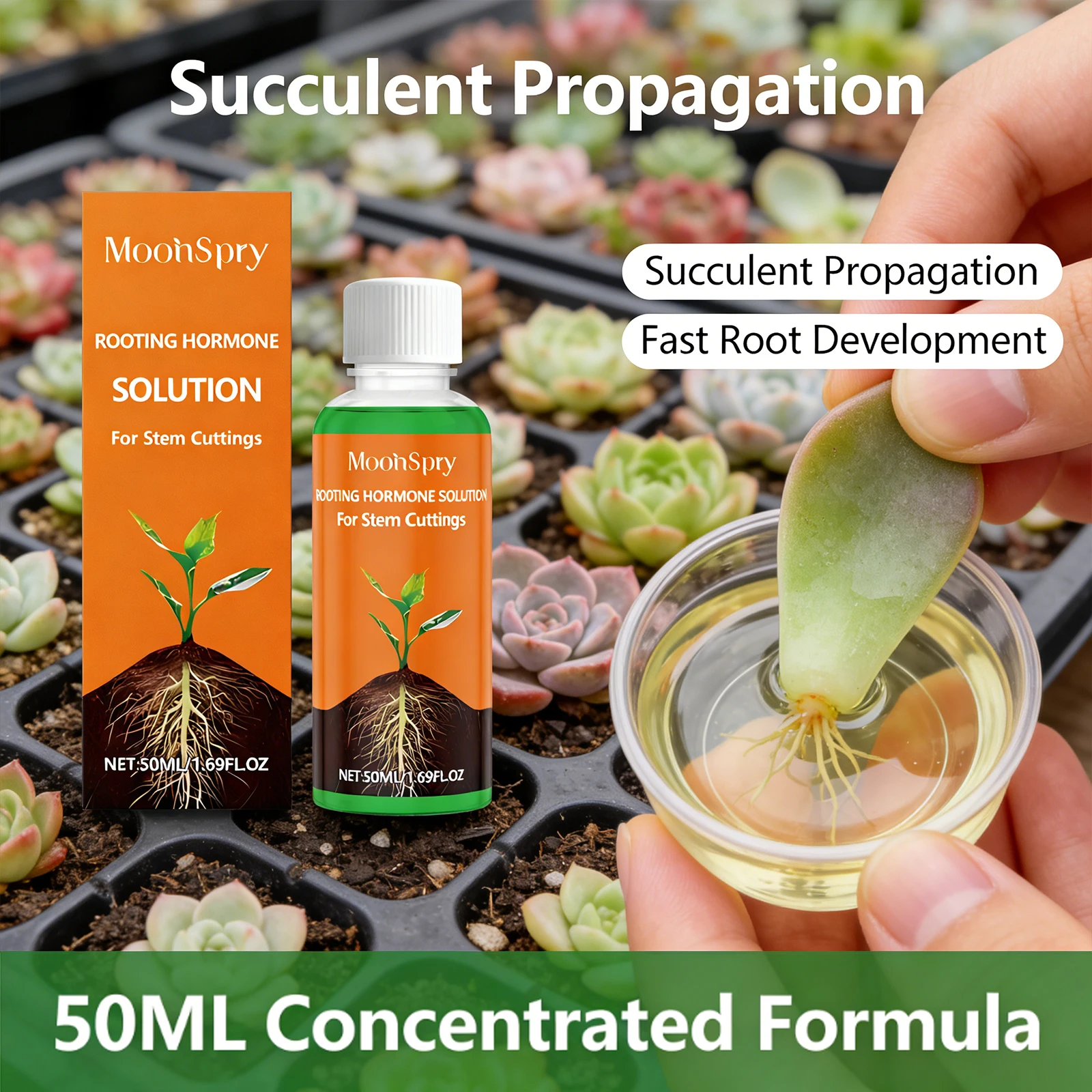 Plant Rooting Agent Effectively Promote Plant Rooting Enhance Resistance Ability Improve Soil Quality Plant Fertilizer Solution