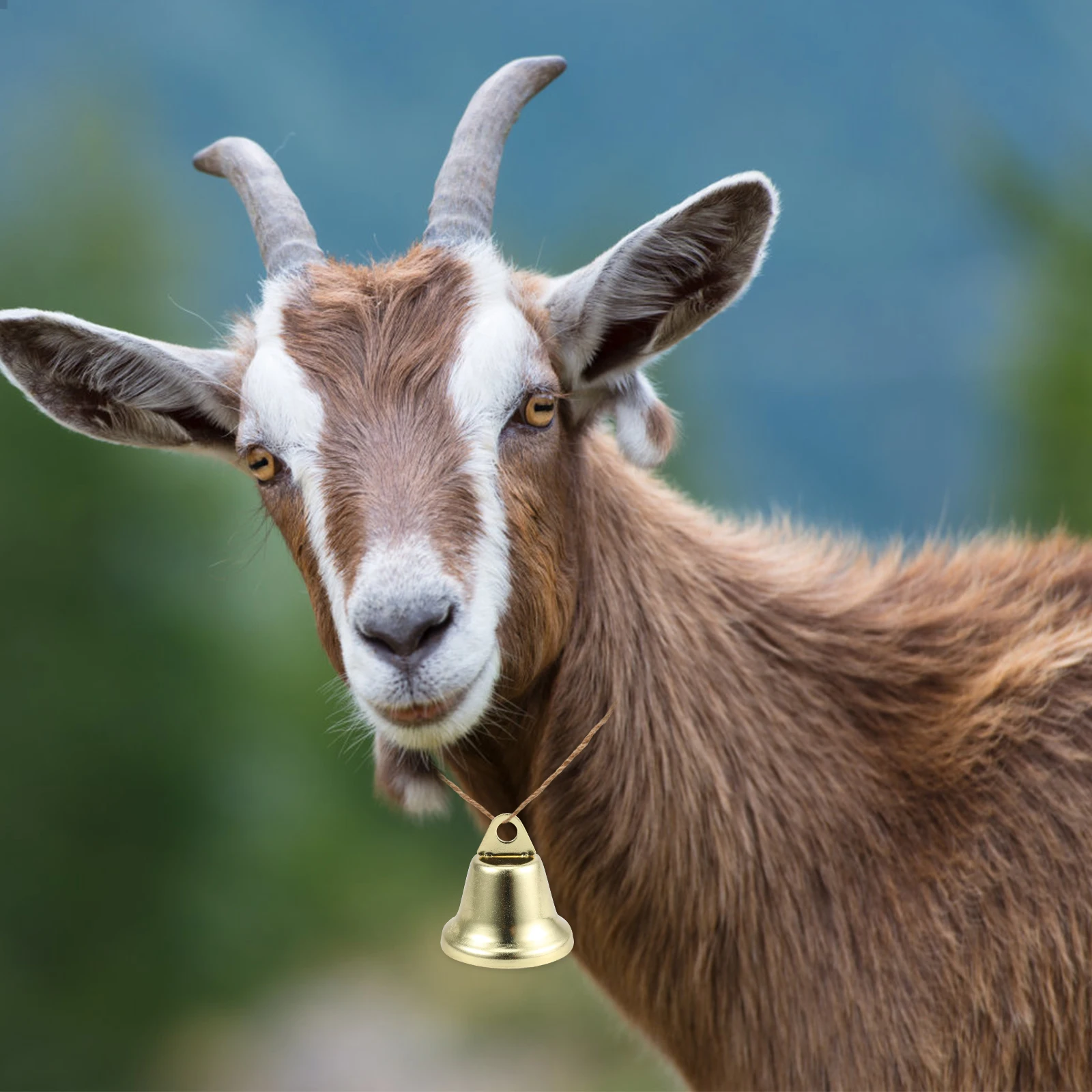 

20 Pcs Vintage Decor The Bell Crafting Bells Crafts Hand Crank Diy for Decoration Ornament Hanging