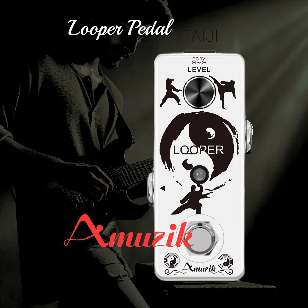 Amuzik Electric Guitar Bass Looper Pedal Unlimited Overdubs 10mins of Looping with USB Loop Box TAIJI