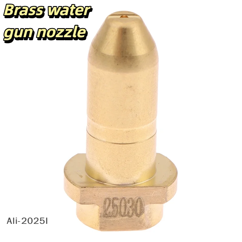 

1/2Pcs Brass Nozzle Tip Core Replacement For Karcher K1-K7 Spray Rod Wand Washer Gun Replace Accessories Dropshipping