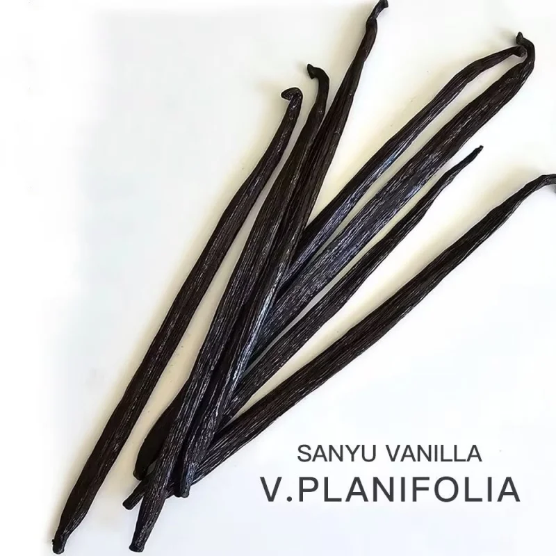 

10pcs 13-15cm Premium Natural Madagascar Vanilla Pods – Aromatic Ingredient for Vanilla Fragrance Candle