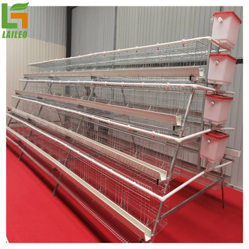 

chicken cages poultry cage egg laying hen cages for Chicken Farm