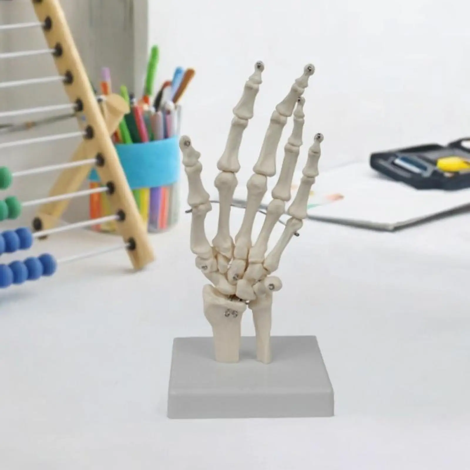 

Human Hand Model Medical Training Practical Easy to Carry Anatomical Model Teaching Tool for Teaching Explanation Learning