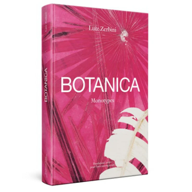 

Luiz Zerbini Emanuele Coccia Fondation Cartier 9782869251656 Book