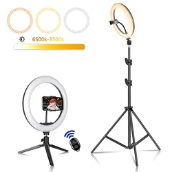 Anillo de luz LED de 26/33cm para Selfie, luz de relleno de fotografía regulable con trípode de 50cm y control remoto para Youtube, TikTok, vídeo en vivo