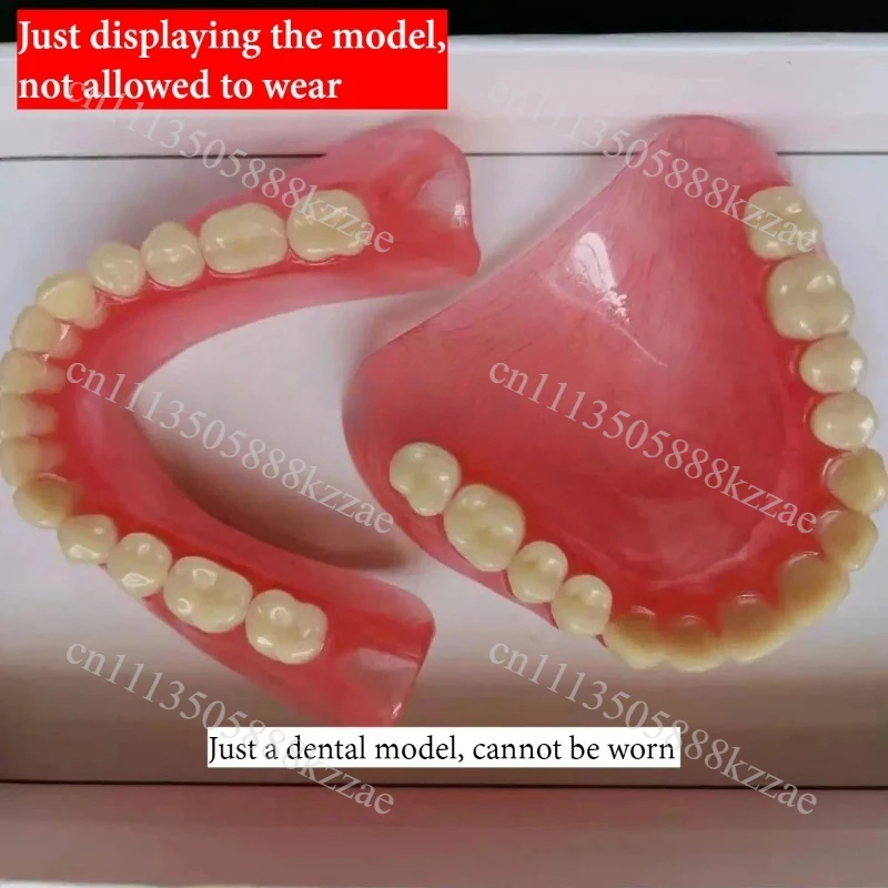 Models of the elderly full and half teeth. Batch sample models of full dentures are available