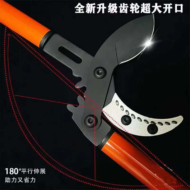 Donkey hoof pruning, animal hoof pruning, hoof pruning, diseased hoof pruning, and hoof pruning scissors