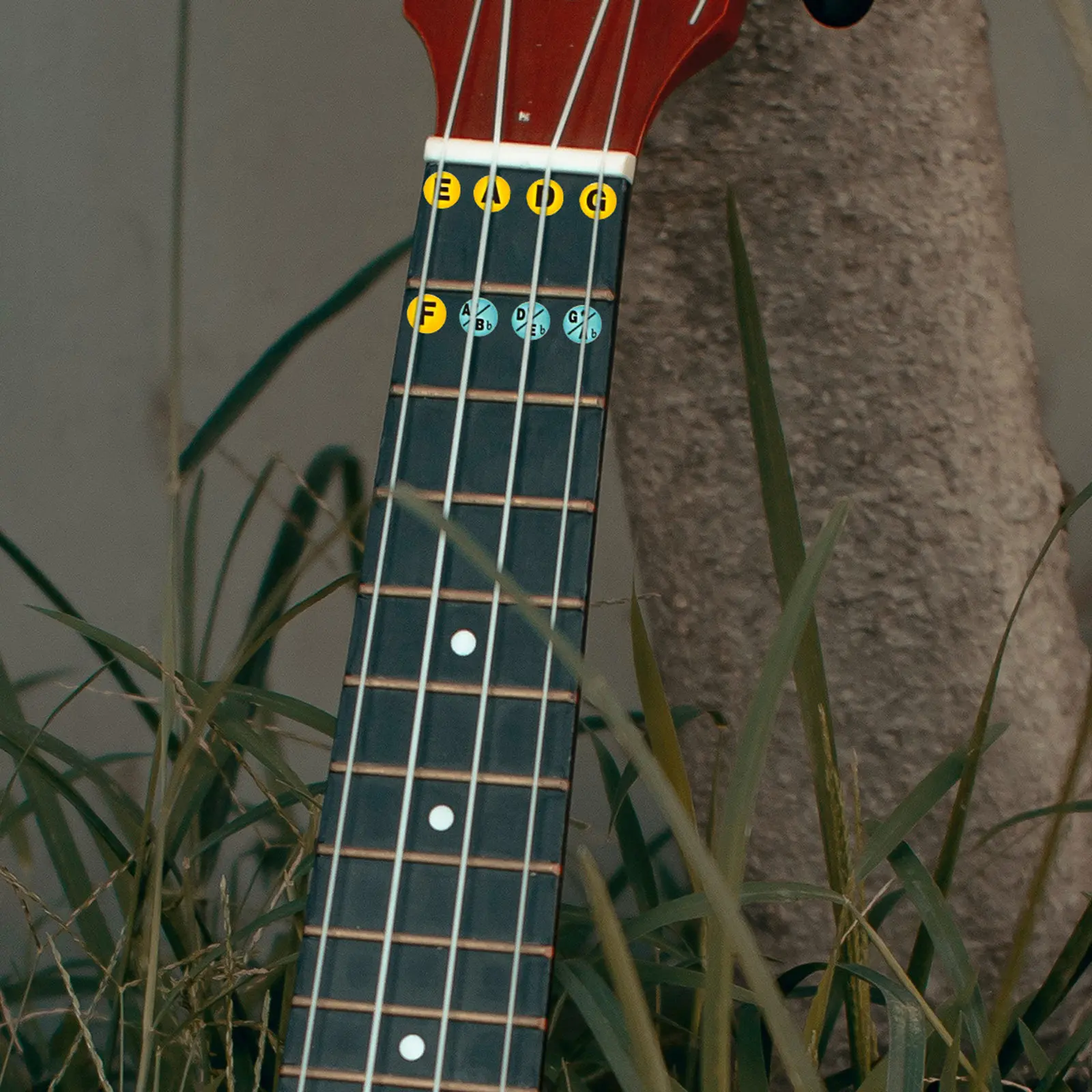 2Pcs Scale Sticker for Bass Fretboard Easy Application Removable Non Residue Bass Practice Tool Enhances Note Recognition
