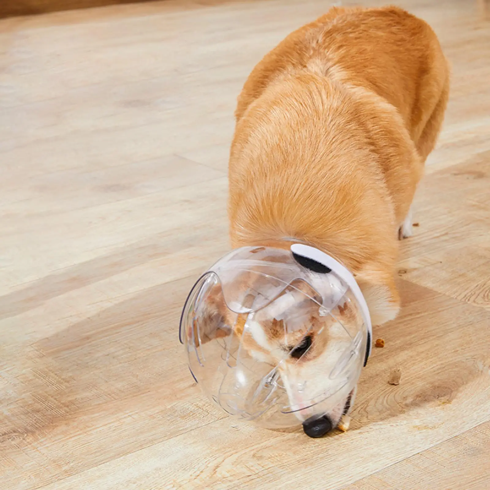 

Капюшон для домашних животных, предотвращает укус, дышащий, прочный, противоукусный, намордник для собак, шлем для домашних животных для тренировок, обрезки ногтей, ухода за купанием