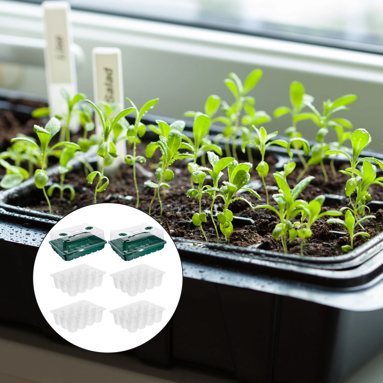 

1 Set Plant Germination Adjustable Ventilation Shatterproof Lid Uv Resistant Clear Plastic Hydroponic Grow Tray Garden Nursery