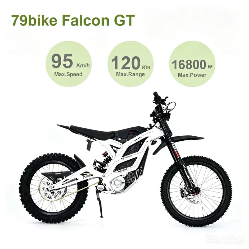 2026 Popular Motocross Pit Bike 79 Bike Falcon GT 16.8KW Electric Off Road Motorcycles 72V Lightweight Dirt Bike US Warehouse