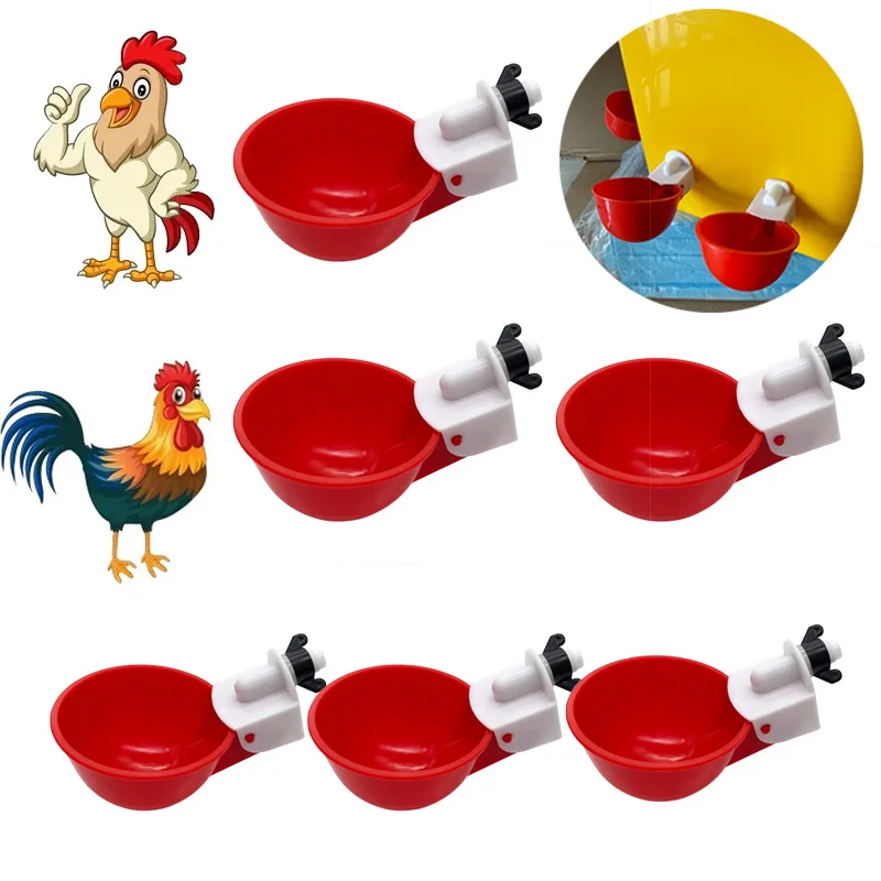 5Pcs Automatic Chicken Drinker Bowl Duck Drinking Cup Chicken Feeder Plastic Poultry Bowls And Drinkers Cups Water System