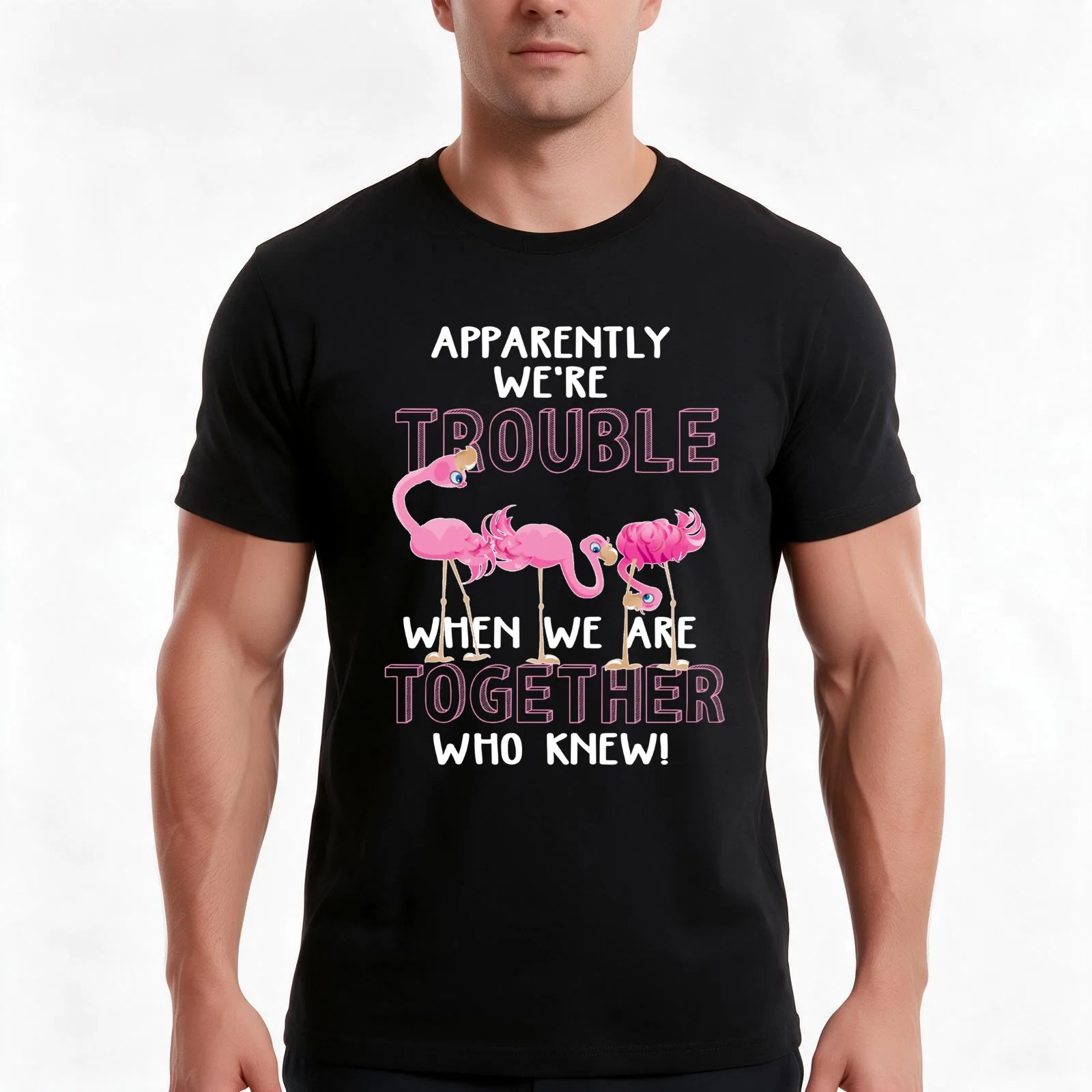 Apparently We're Trouble When We Are Together Flamingo Tee shirt T-Shirt Summer Casual Cotton Tee Unisex Men Women