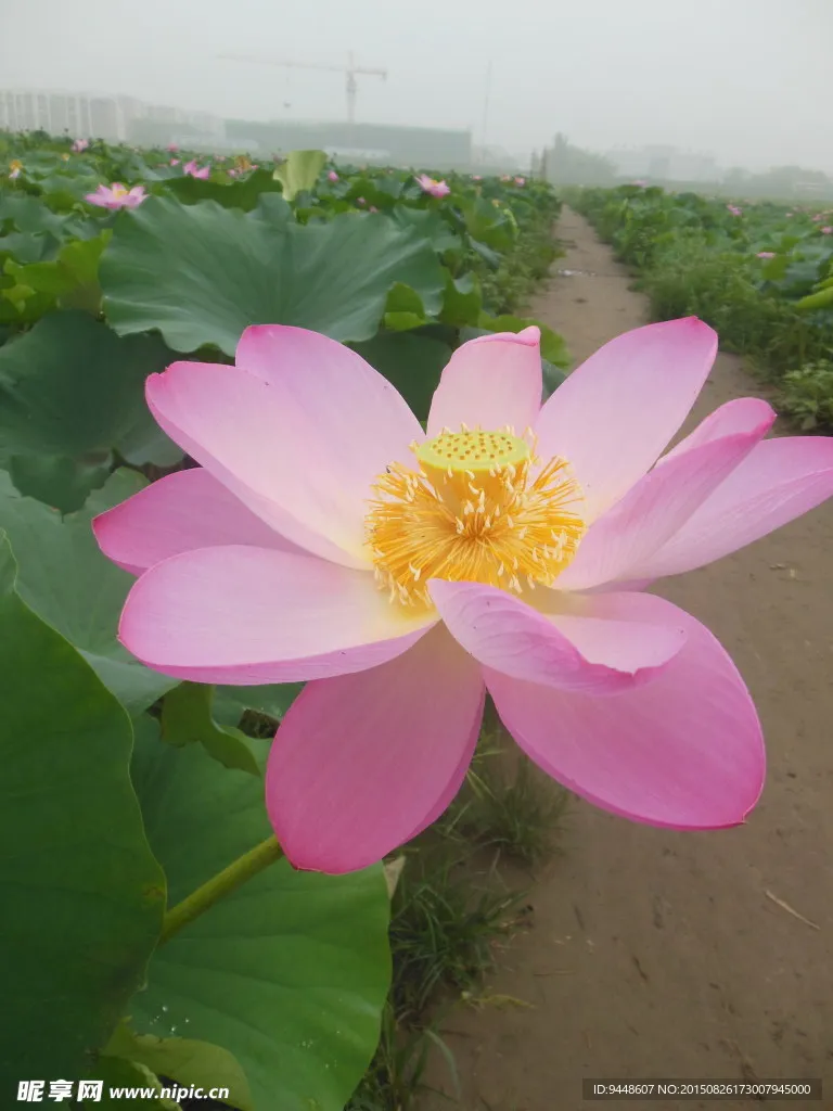 

SCY 18101 18103 18101PRO 18103PRO Accessories Front Gearbox Cover RC Car Spare Parts