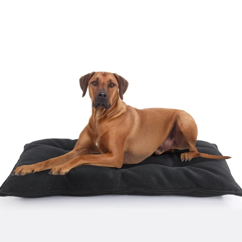 

Four Seasons Waterproof Pet Pad Anti-Chew Anti-Scratch Mat Non-Slip Cushion for Dog Cat Daily Use，soft Comfortable