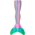 CP009-2