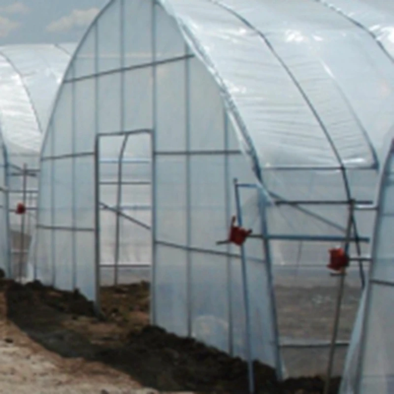 1m Thickness 0.1-0.14mm Width 6-12m Highly Transparent Thickened Film Agriculture Furniture Dustproof Rain Proof Greenhouse Film