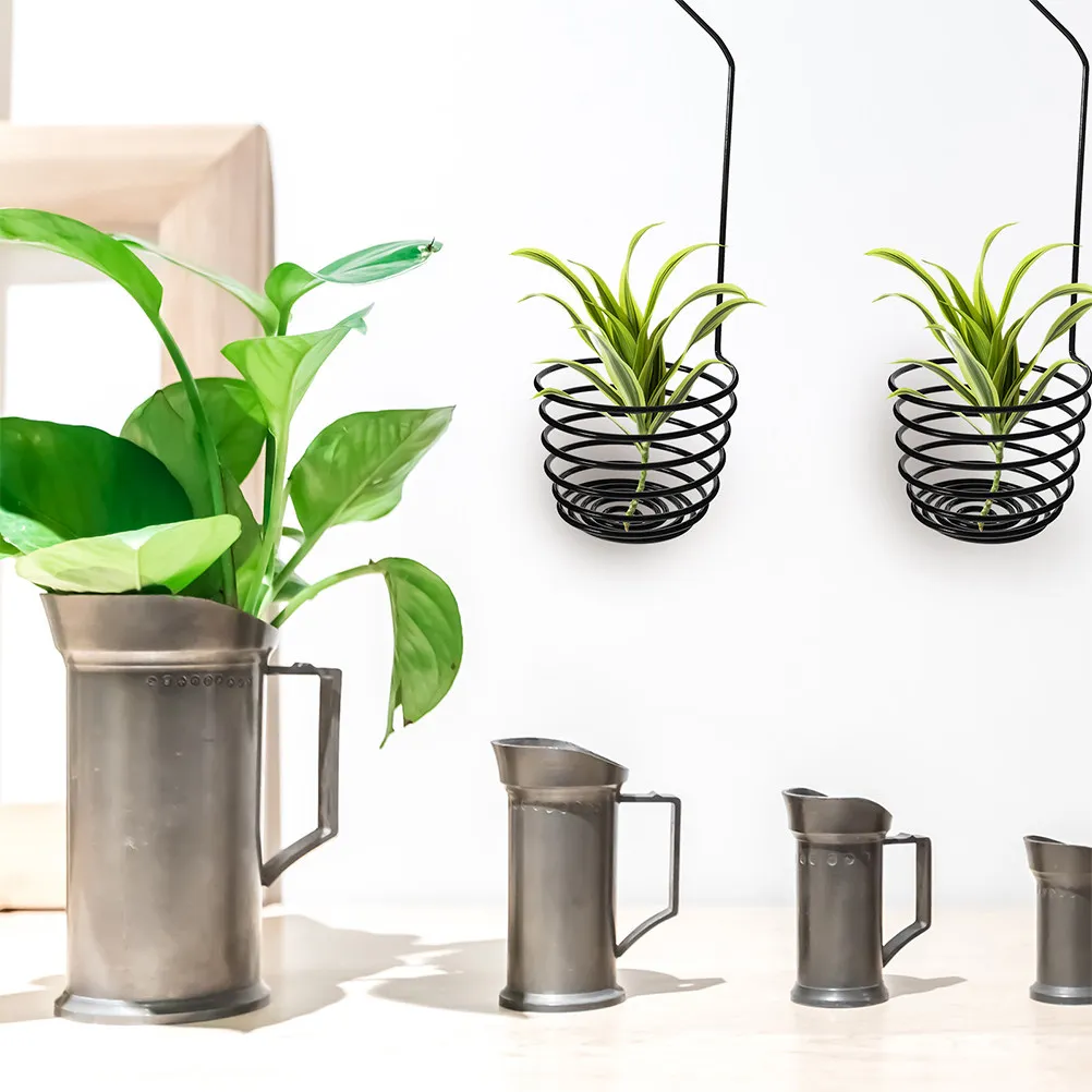3Pcs Air Plant Hooks Spiral Holders Metal Hanging Rack Display for Indoor Outdoor Wall Tillandsia Plant Holder Decorative