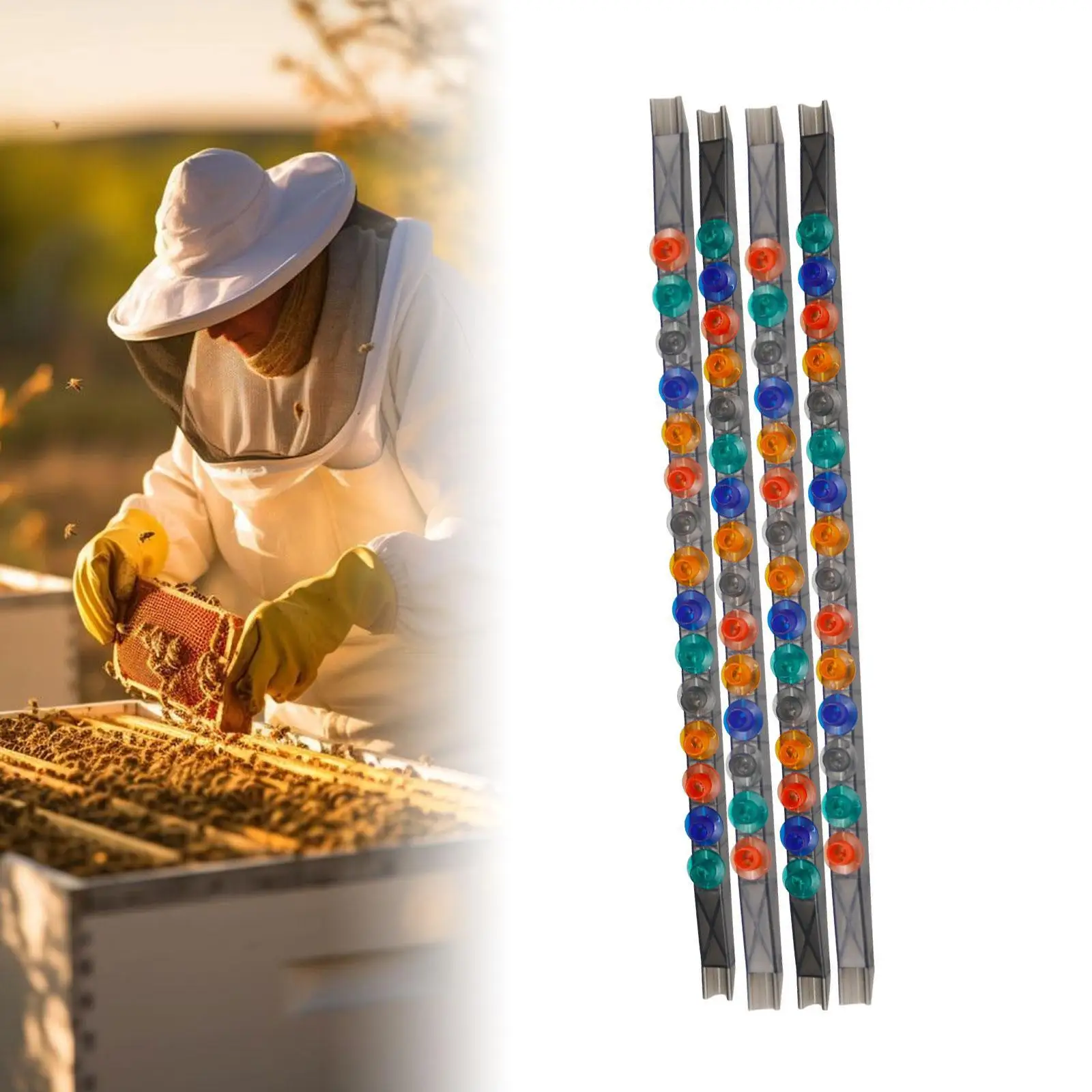 4-teiliges Queen Bee Cell Cup Bar Kit, einfache Installation, 15 Löcher, Bee Queen Rearing Cell Cups, Rahmen für Imker-Ausrüstung