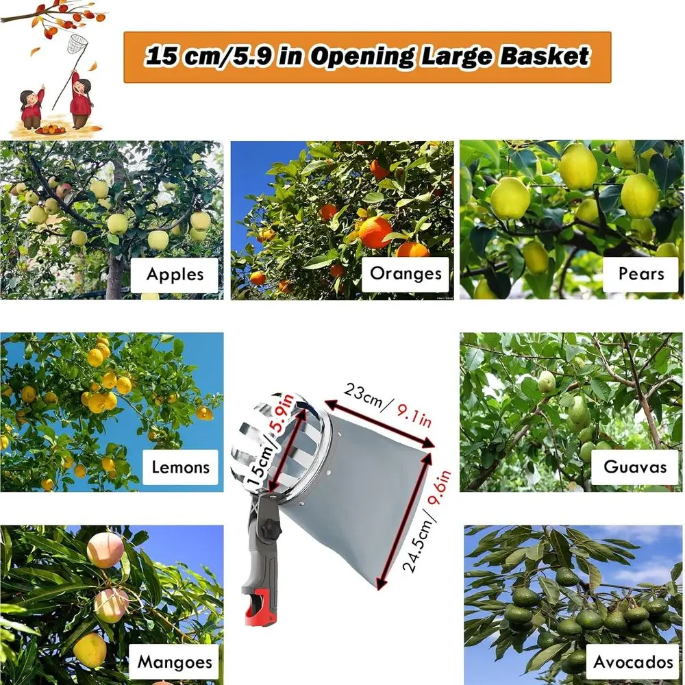 バスケット付き延長フルーツピッカー、アボカド、ドングリ、レモン、梨、マンゴーの収穫用に3～7m調節可能なポール