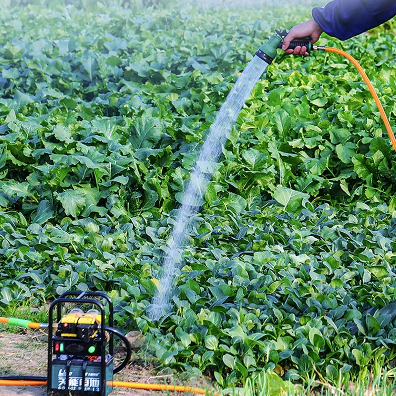 Sproeier Elektrische Landbouw Draagbare Sproeier Mist Machine Auto Wasmachine Waterpomp Hogedruk Membraanpomp Machine