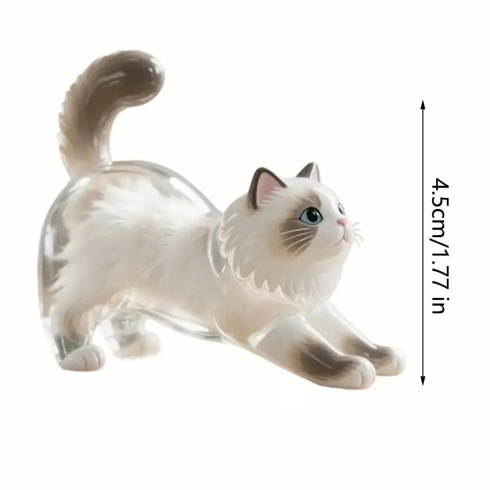 شفافة القط الشعر سلسلة مفاتيح مصنوعة يدويا الحيوان على شكل القط صندوق تخزين الشعر المحمولة سيامي القط الكلب الفراء تخزين قلادة