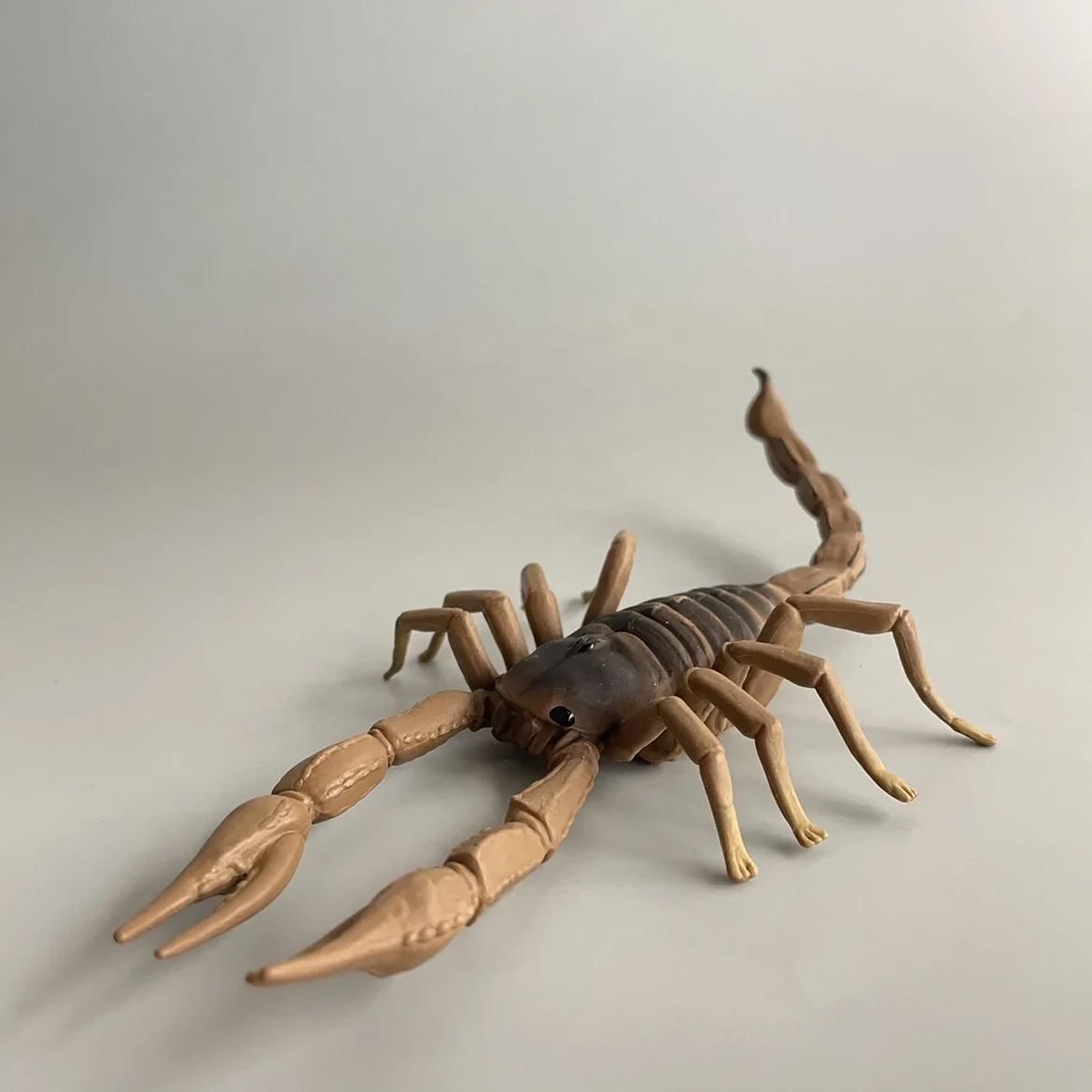 Bandai Education Cognitive Miracle Series Large Simulation Scorpion Insect Model Toys Children's Popular Science Collection