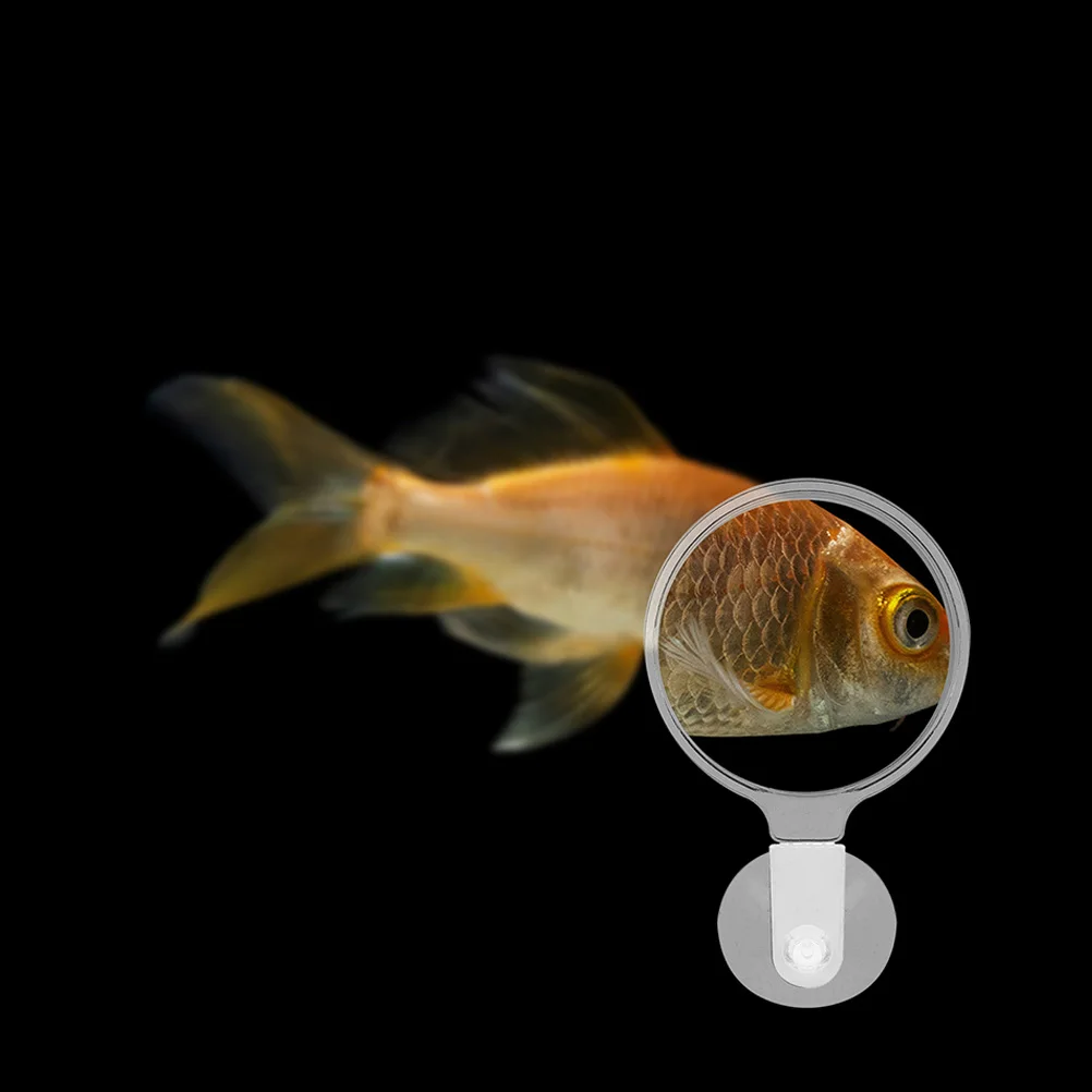 

2pcs Suction Cup Magnifying Glass for Small Animals Fish Tank Viewer Aquarium Plant Observer Acrylic Magnifier Home Use