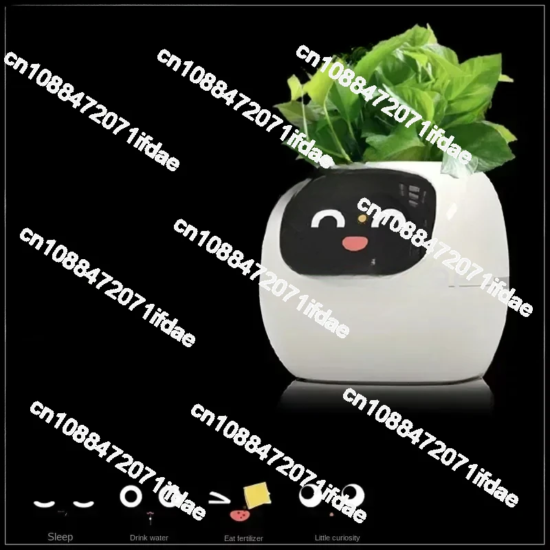 New Smart and Cute Pet Pet Pot Ivy Table Top Green Plants Let Your Plants Express Emotions