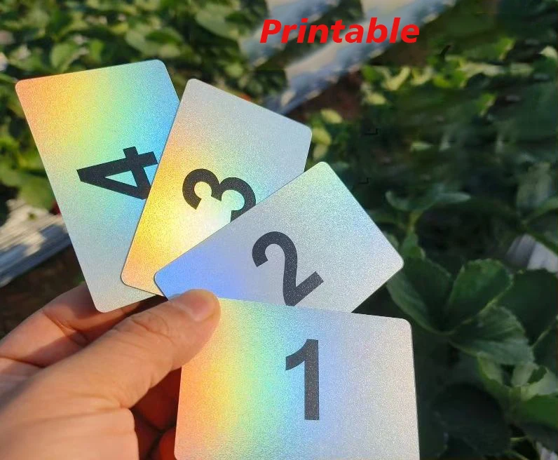 /10pcs PVC-Laser karte Matt Flash Visitenkarte Druck mit leeren Karten PVC Matt Flash Laser Visitenkarte lackierbar – Detail 6
