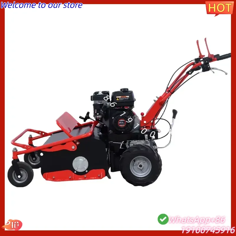 2026Hot DCJ600A 252CC Lawn Mower Heavy-Duty Steel Deck with Ergonomic Handle CE Certified 1-Year Warranty for Large