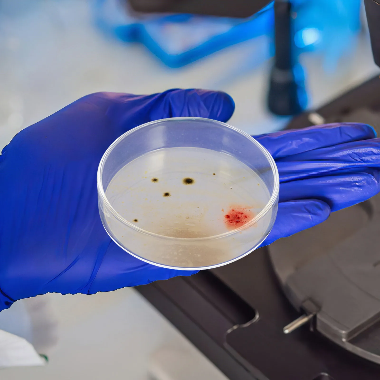 

10 Pcs Inoculation Dish Lab Accessories Growth Medium Plate Agar Plates Tissue Culture Cell