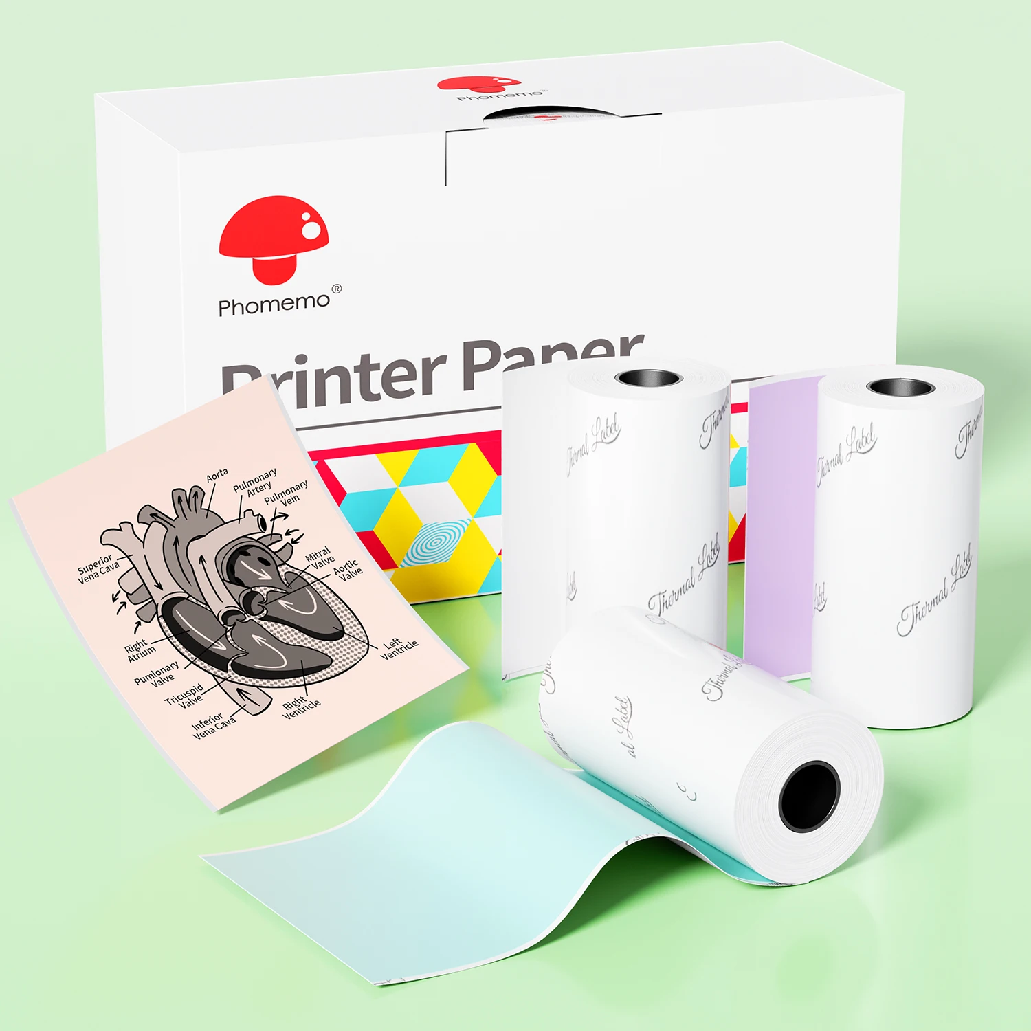 3 Rolls Phomemo M02/M02pro/M02S/M03 Thermal Sticker Paper Colorful Label Sticker 50/53mm Self-Adhesive Label Rolls for DIY Gift