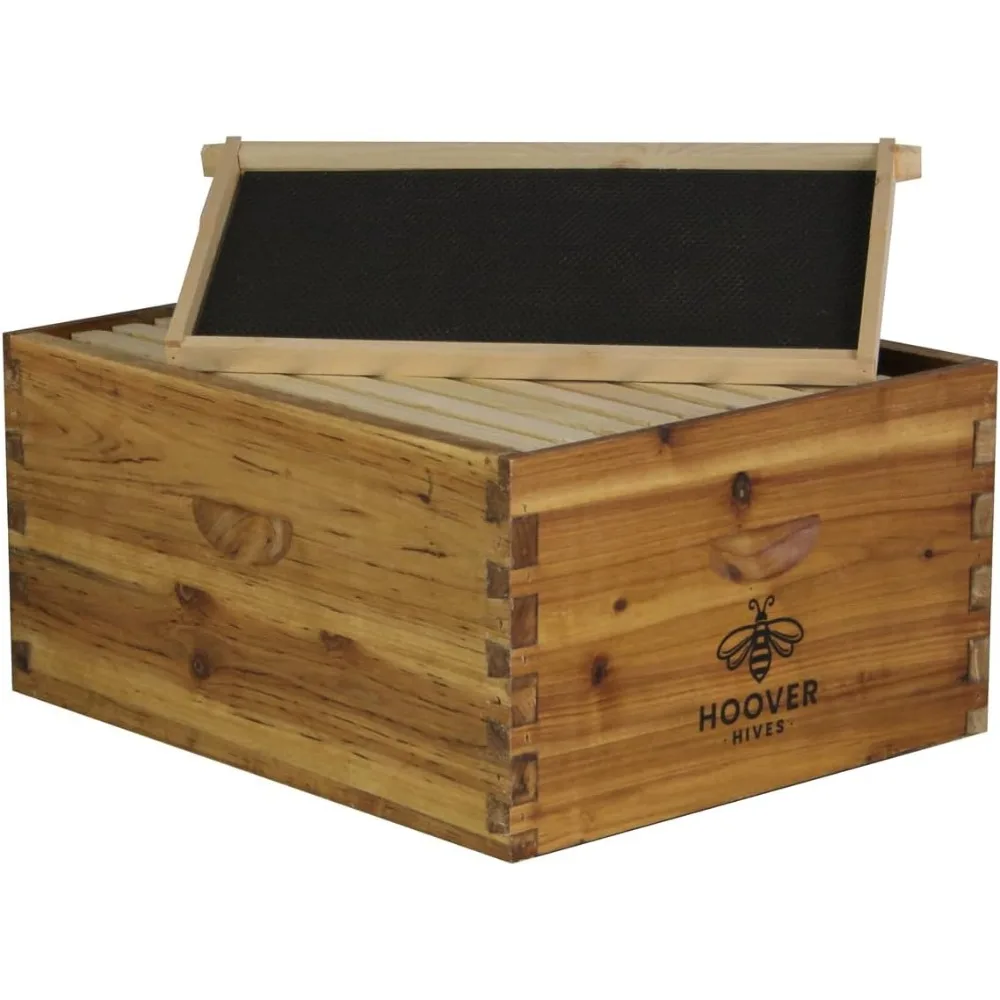 مجموعة خلية نحل مكونة من 10 إطارات مع صناديق عميقة ومتوسطة لسهولة إدارة المستعمرة