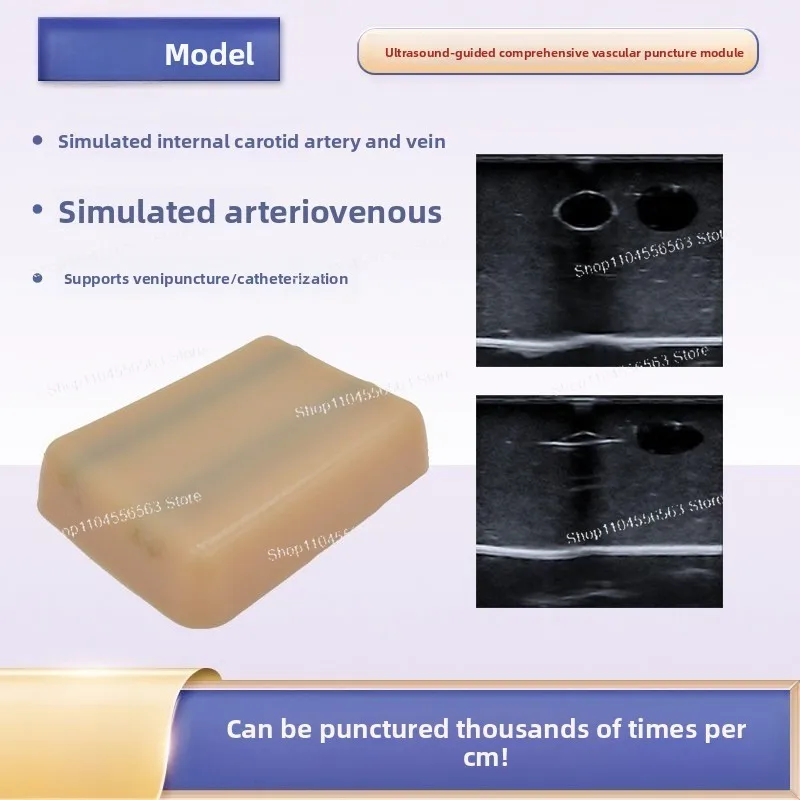 Ultrasound-guided Vascular Puncture Training Module, Interventional Exercise Model