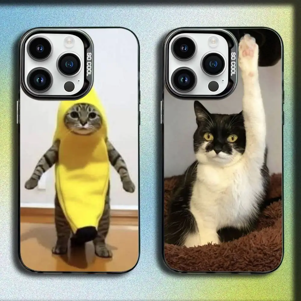 

Cat Memes Phone Case For iPhone 17,16,15,14,13,12,Pro,Max,Plus,E,SE4,Air,Mini Black IMD Box