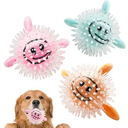 Rubber plush clown fish bone ball bite resistant to boredom to accompany large and small dogs
