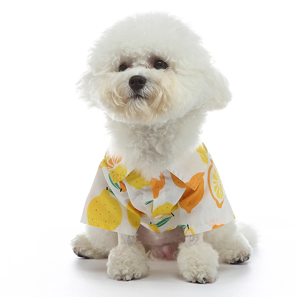 Chemises imprimées de fruits pour animaux de compagnie, T-shirt pour chien, Manteau fin, Veste pour chiot, Vêtements pour chat, Tenues pour petits