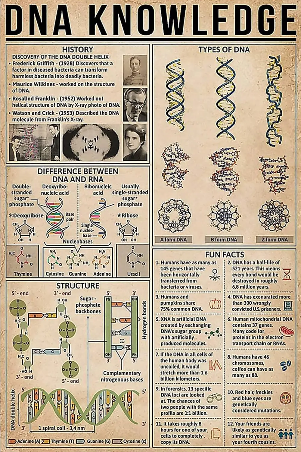 JIUFOTK Dna Knowledge Posters Biomedical Science Metal Signs School Room Decor Home Club Wall Retro Plaque es-aluminum sig