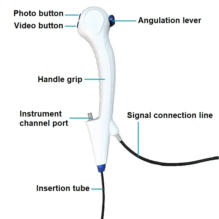 Customized Durable Hospital Medical Portable Video Gastroscope Endoscope Camera Pet Endoscope