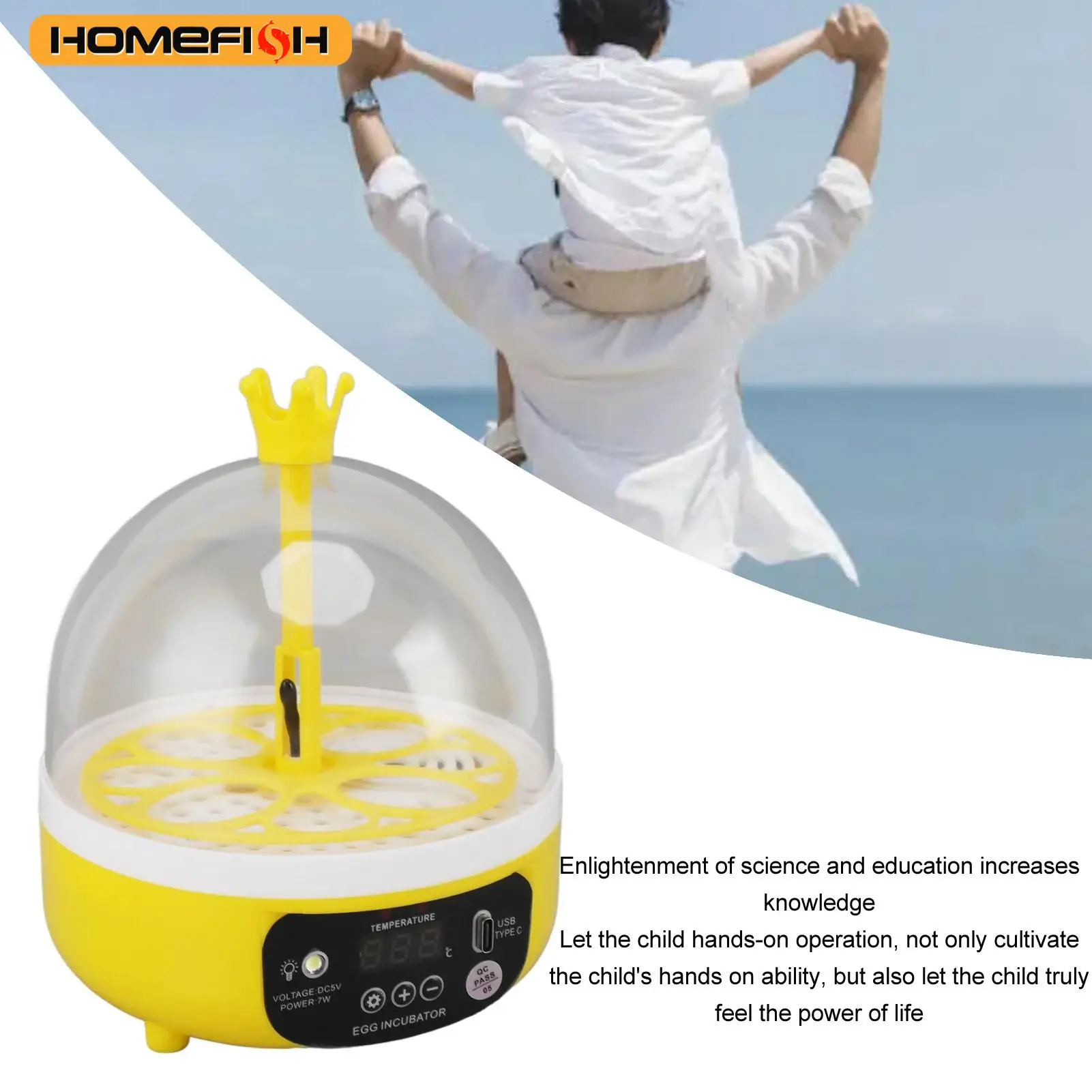 Mini home egg incubator Automatic temperature and humidity control 4 eggs Candler poultry incubator
