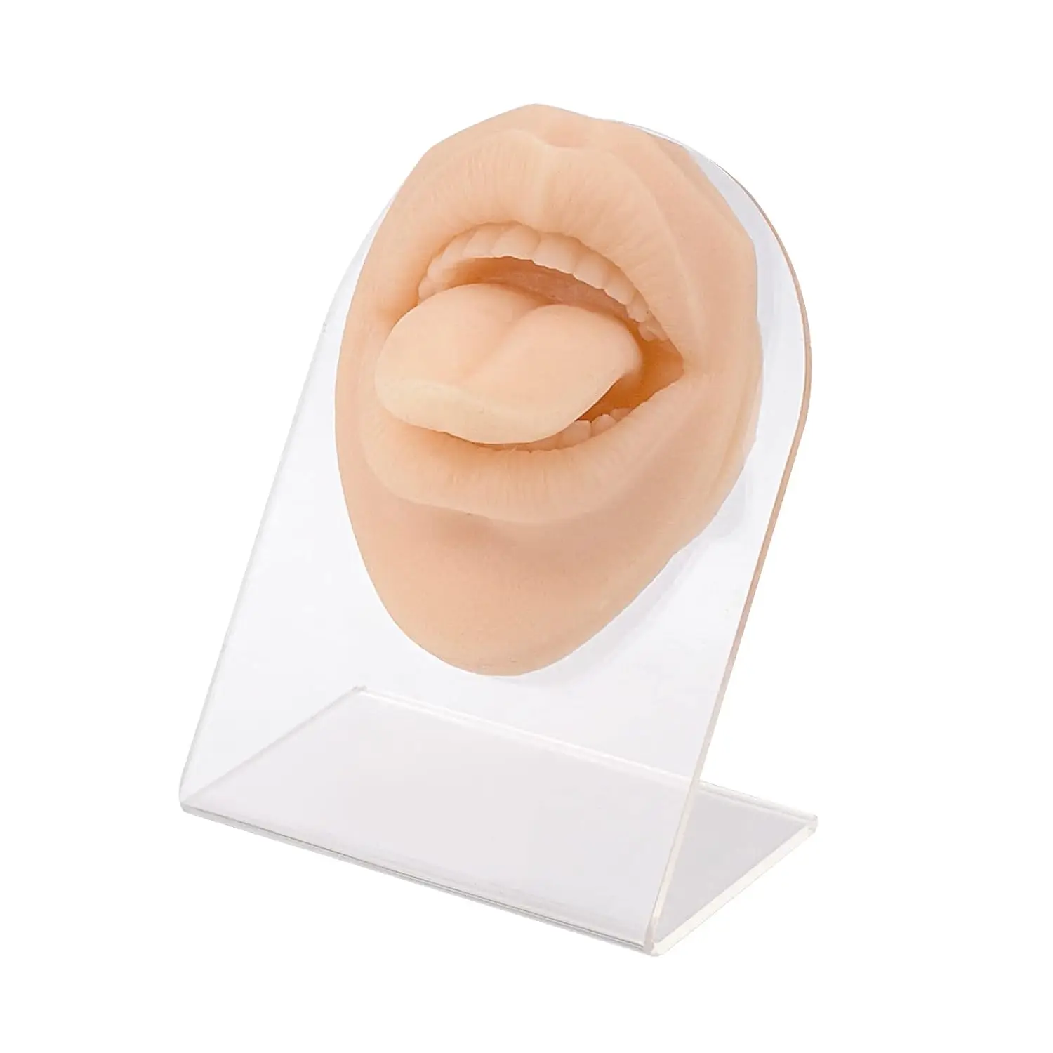 Silicone Tongue & Mouth Piercing Practice Model 3D Flexible Simulation Model Suturing Acupuncture Teaching for Jewelry Display