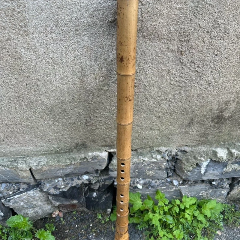 8穴中国式縦笛G/Fキー伝統的な短笛初心者大人演奏管楽器プロ - Shakuhachi Bamboo Flute のレビューと価格