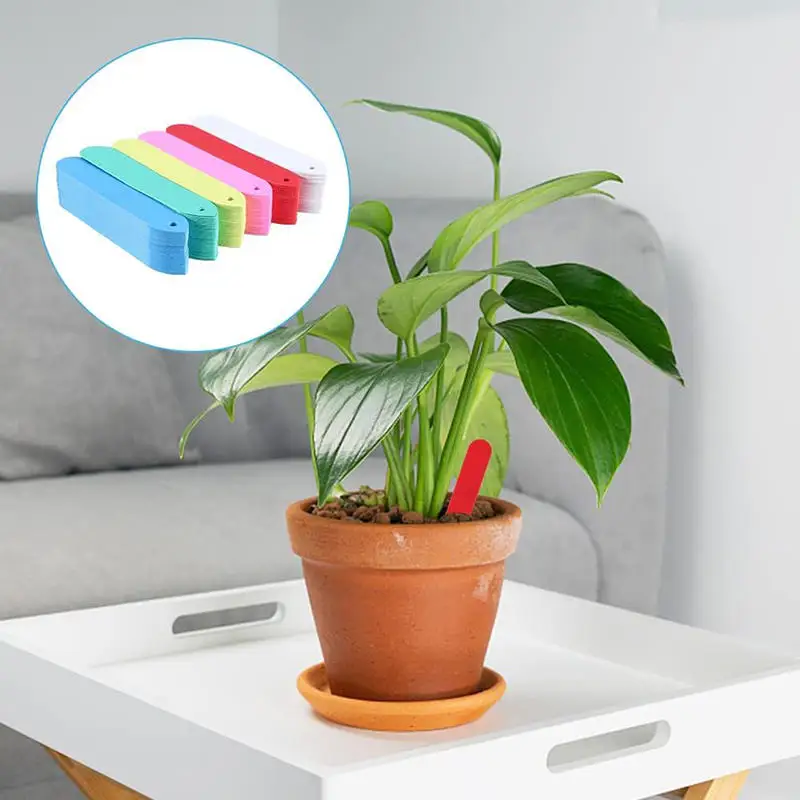 100 Stück wiederverwendbare Gartenschilder, wasserfeste Pflanzenmarkierungen ​ Einfarbige Pflanzenschilder für Blumen und Gemüse im Topf