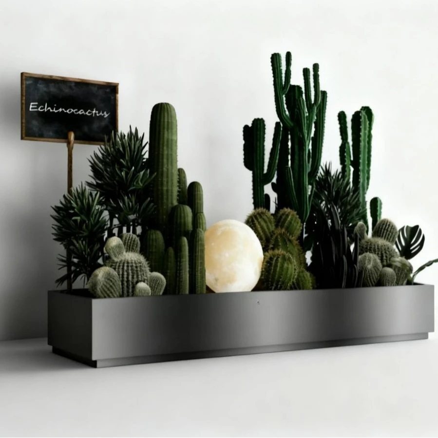 High-end cactus decorative flower box, bought for café and tavern landscaped flower beds