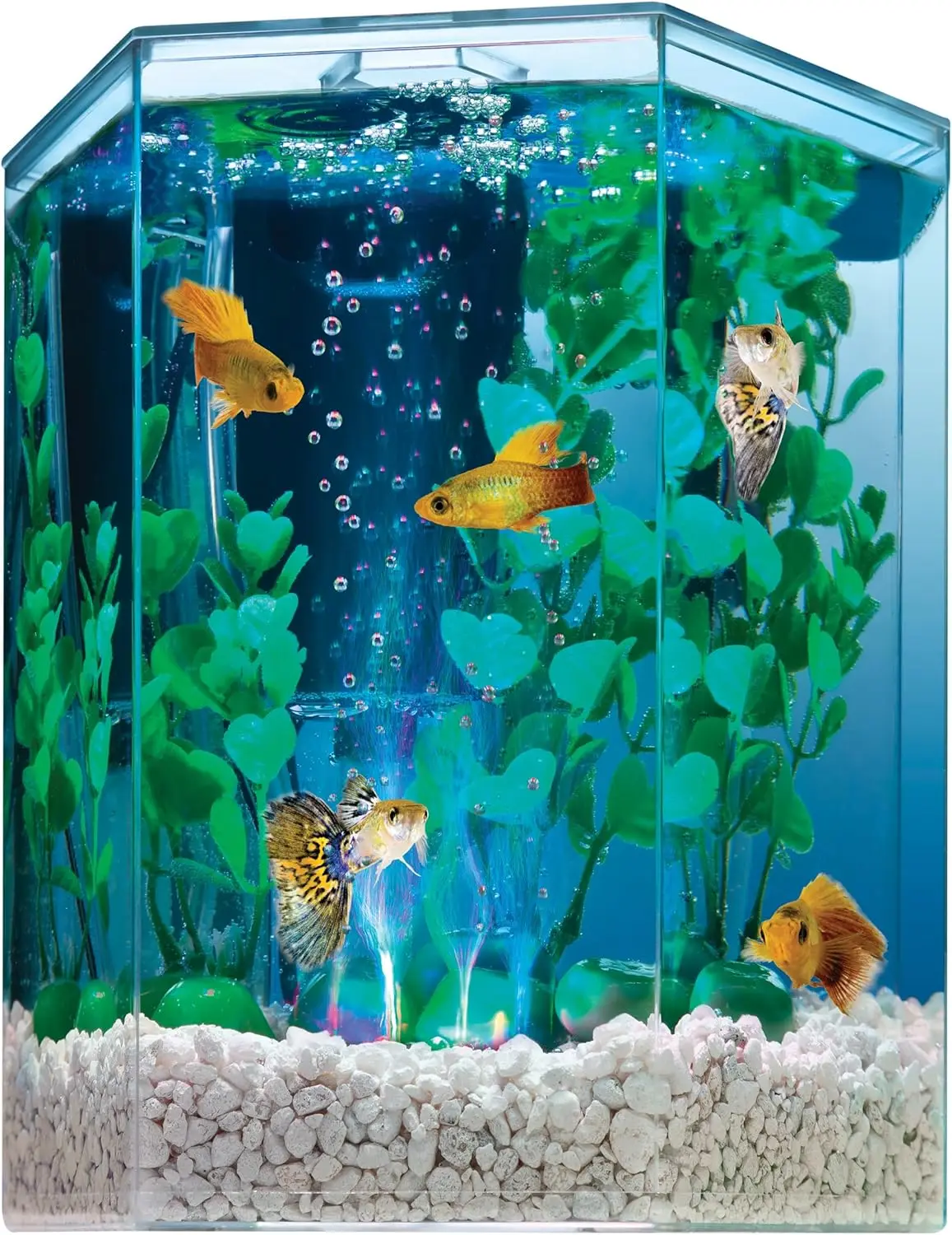 

1-Gallon Hexagon Aquarium Kit with Color-Changing LED Light Disc